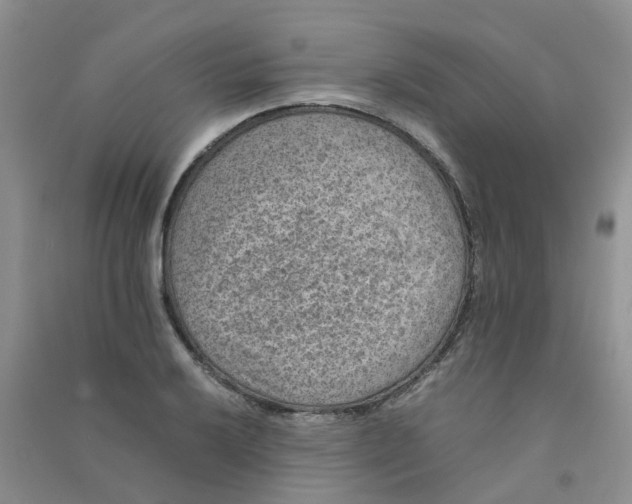 X0000090701032200708171842