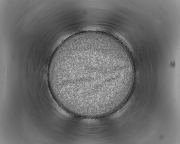 X0000090701033200708171842