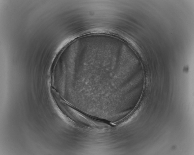 X0000090701034200708171842