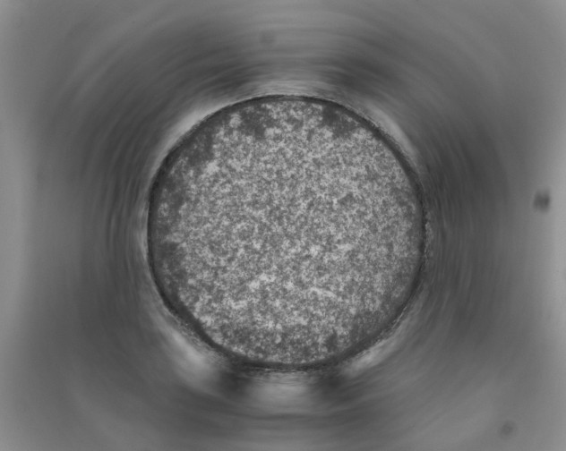 X0000090701035200708171842