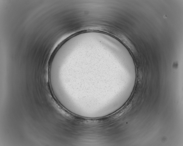 X0000090701036200708171842