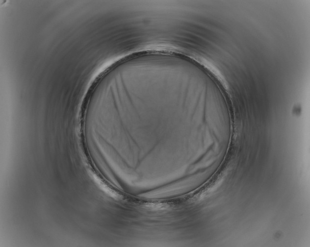 X0000090701037200708171842