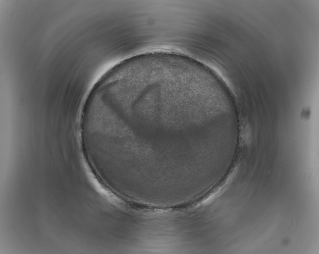 X0000090701038200708171842