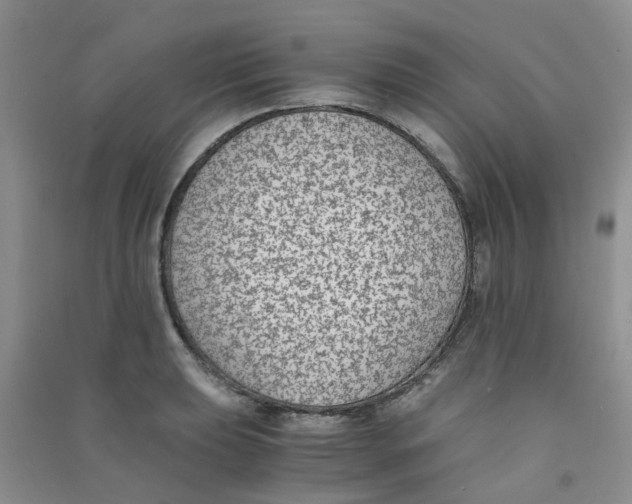 X0000090701039200708171842