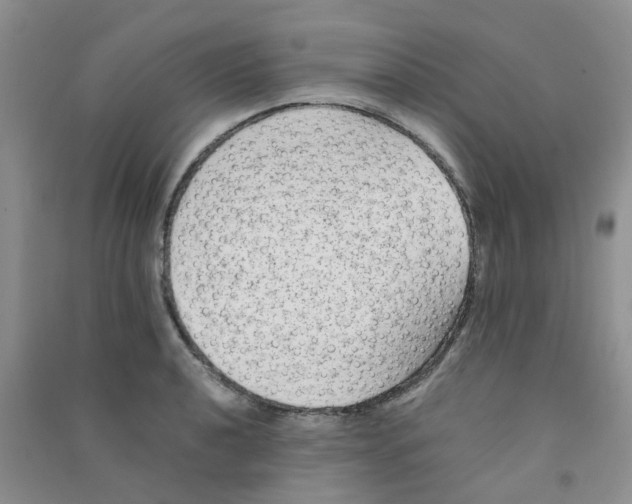 X0000090701040200708171842