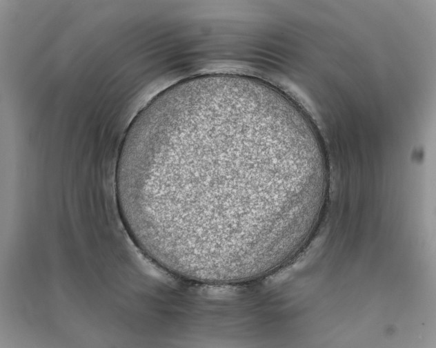 X0000090701041200708171842