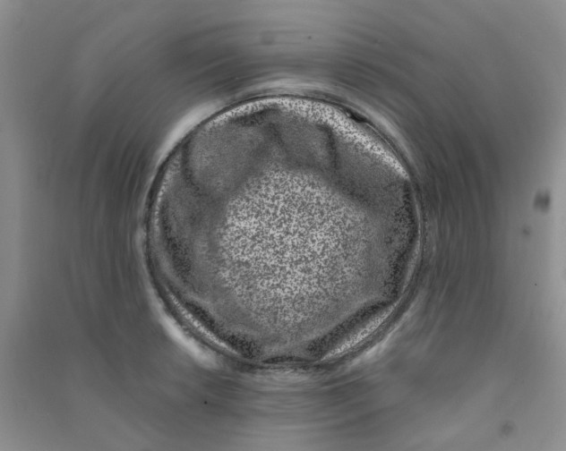 X0000090701042200708171842