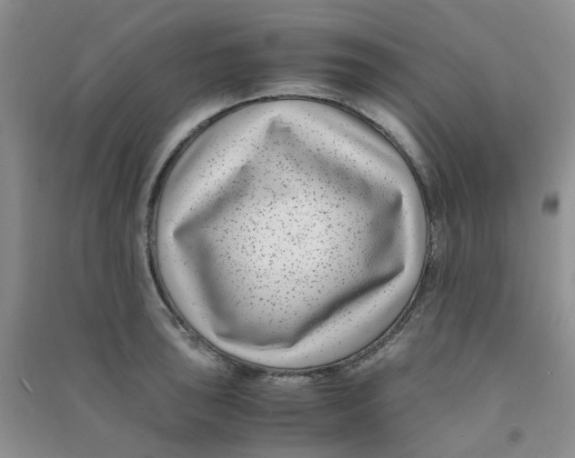 X0000090701043200708171842