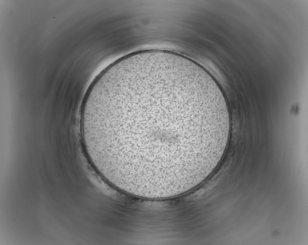 X0000090701044200708171842