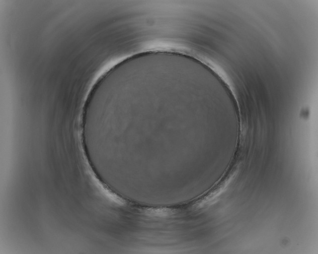 X0000090701045200708171842