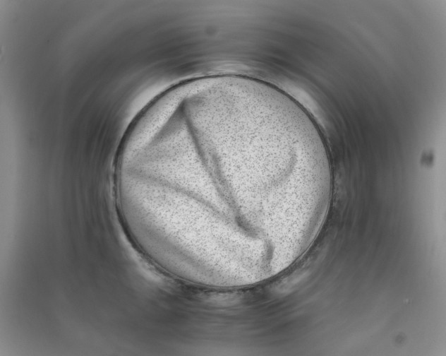 X0000090701047200708171842