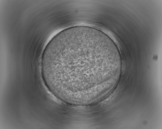 X0000090701048200708171842