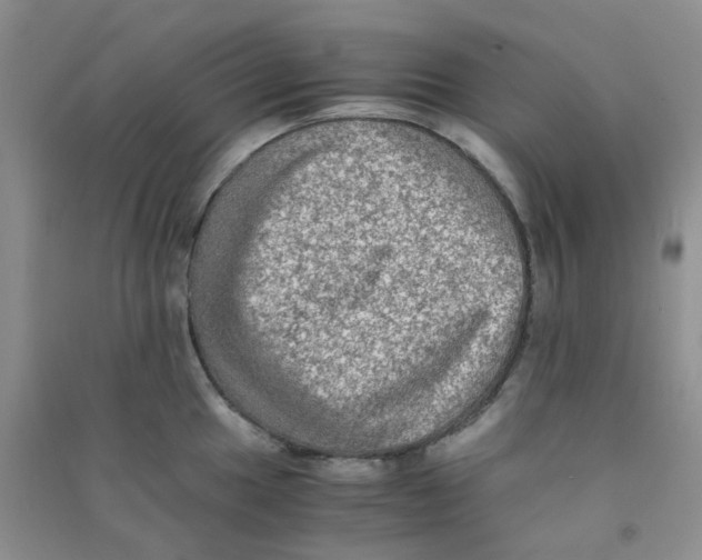 X0000090701049200708171842