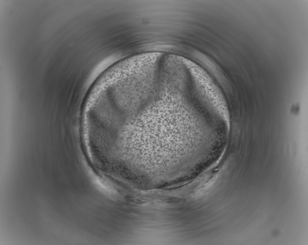 X0000090701050200708171842