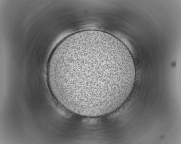 X0000090701051200708171842