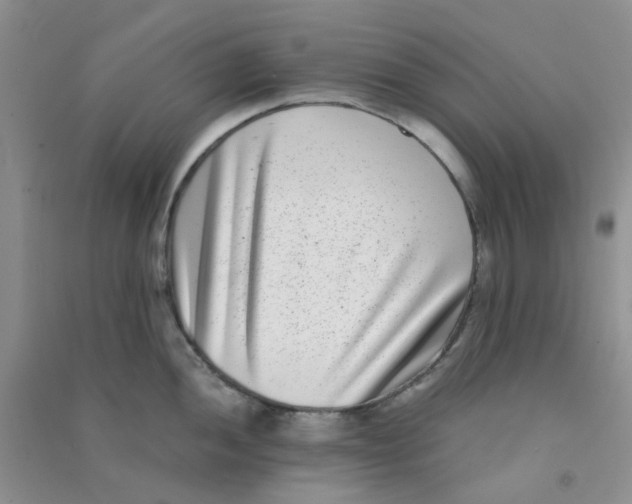 X0000090701052200708171842