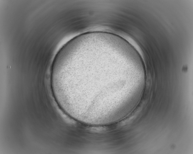 X0000090701053200708171842