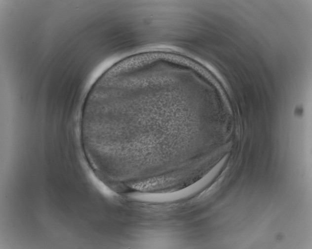 X0000090701054200708171842