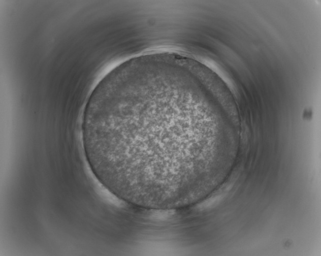 X0000090701055200708171842