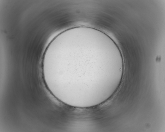 X0000090701056200708171842