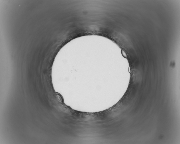 X0000090701057200708171842