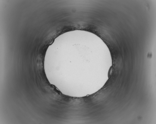 X0000090701058200708171842