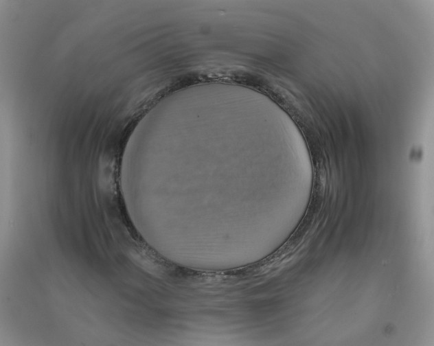 X0000090701060200708171842