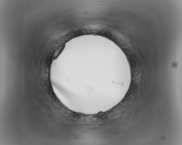 X0000090701061200708171842