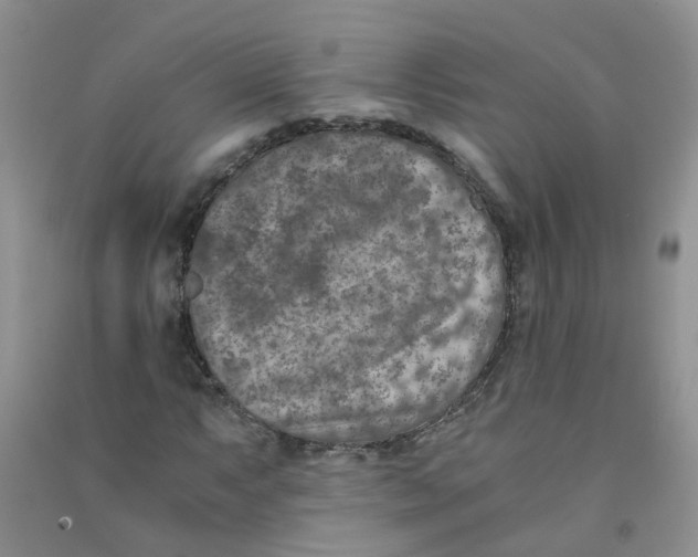 X0000090701063200708171842