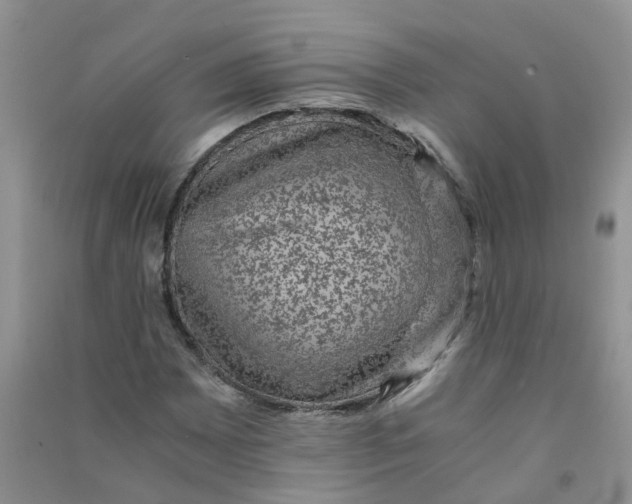 X0000090701065200708171842