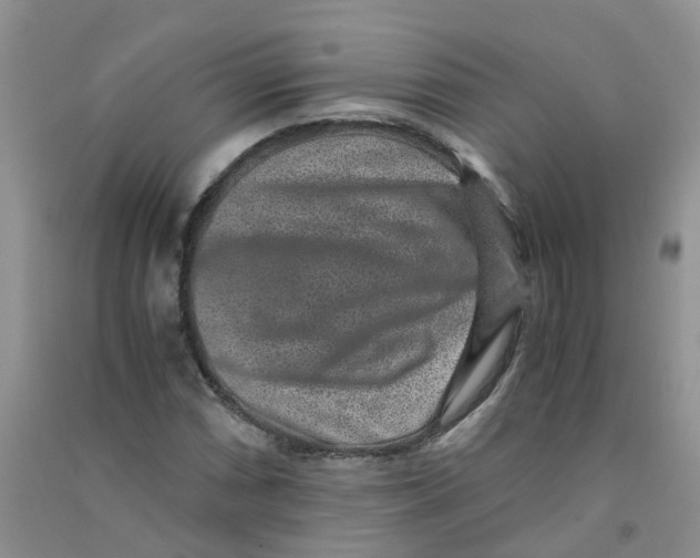 X0000090701066200708171842