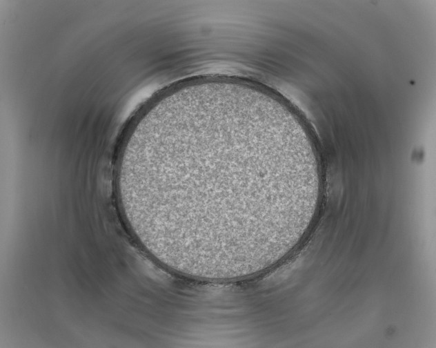 X0000090701067200708171842