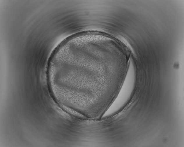 X0000090701068200708171842