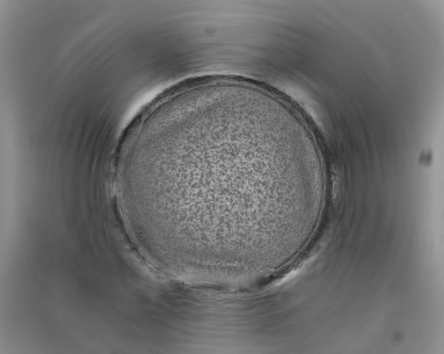 X0000090701069200708171842