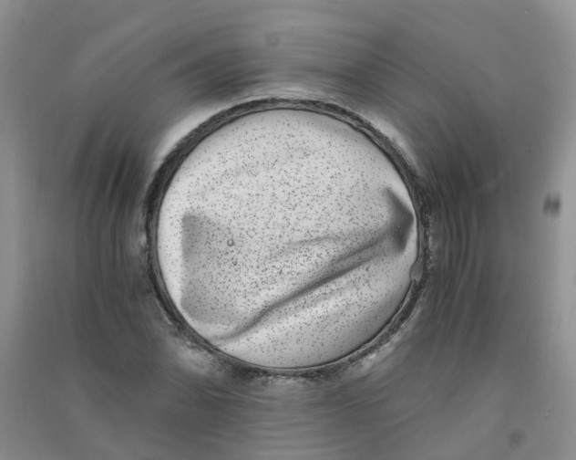 X0000090701070200708171841