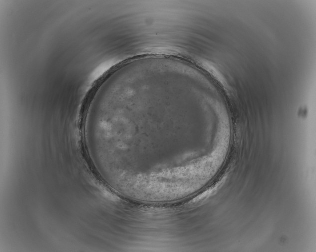 X0000090701071200708171841