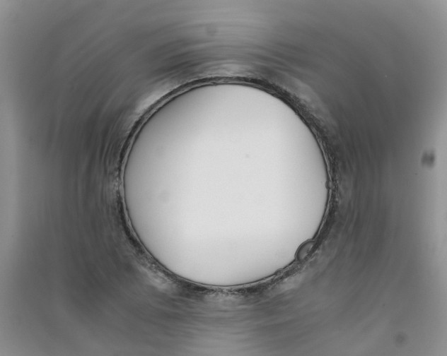 X0000090701073200708171841