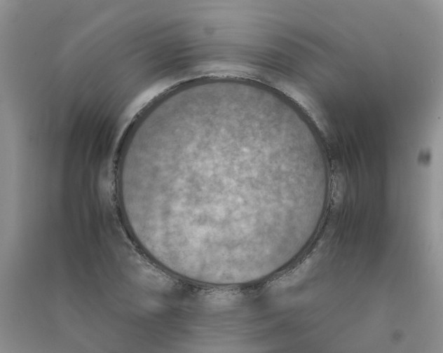 X0000090701074200708171841