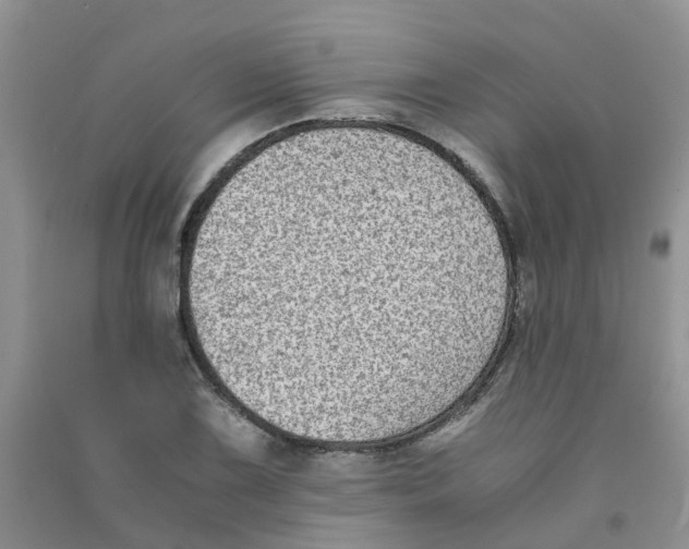 X0000090701075200708171841