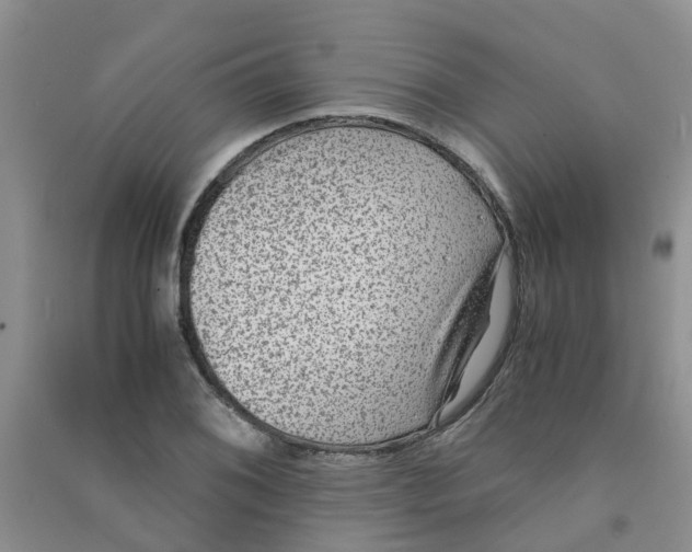 X0000090701076200708171841