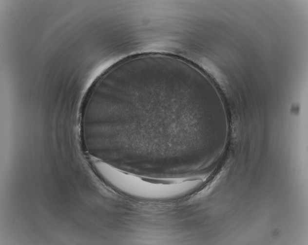 X0000090701077200708171841