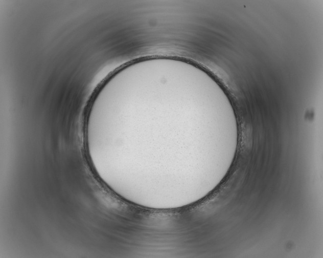 X0000090701078200708171841