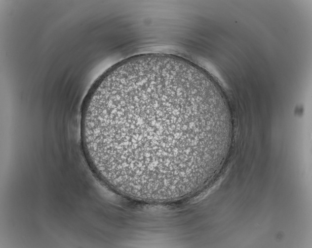 X0000090701079200708171841