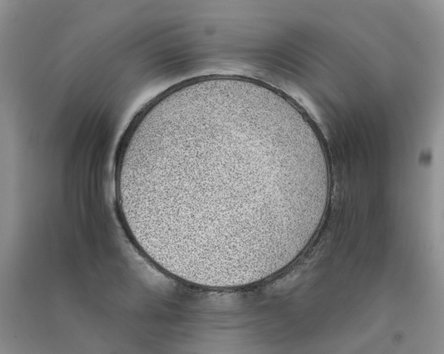 X0000090701080200708171841