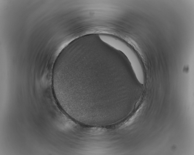 X0000090701081200708171841