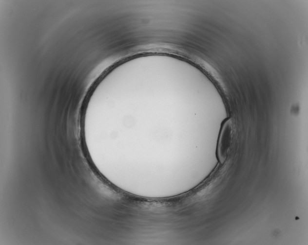 X0000090701082200708171841