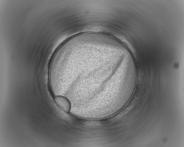 X0000090701083200708171841