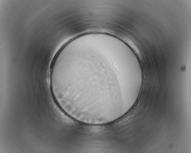 X0000090701084200708171841