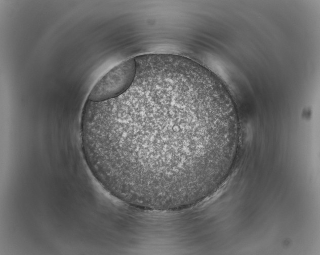 X0000090701087200708171841