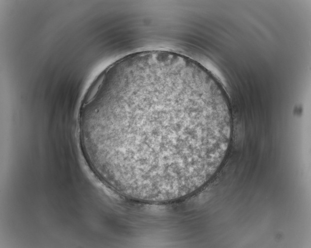 X0000090701088200708171841